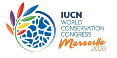 Scf News And Events Img 4 Marseille