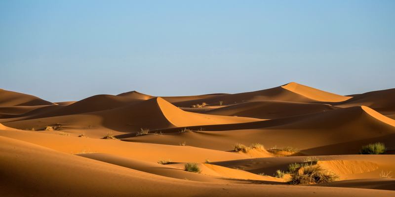 Scf Projects Details Morocco Senegal Temperature Controlled Logistics Platform