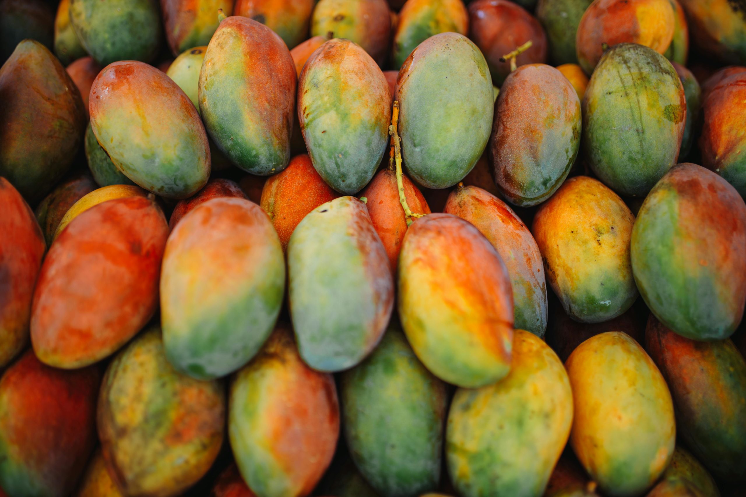 SCF Request for Proposal: Feasibility Study – Fruit Transformation Unit, Northern Côte d'Ivoire