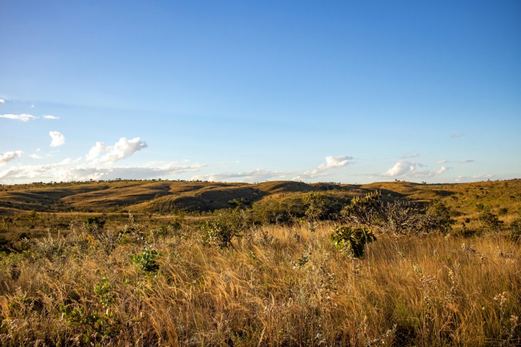 Pexels Hiagorocha 17025997