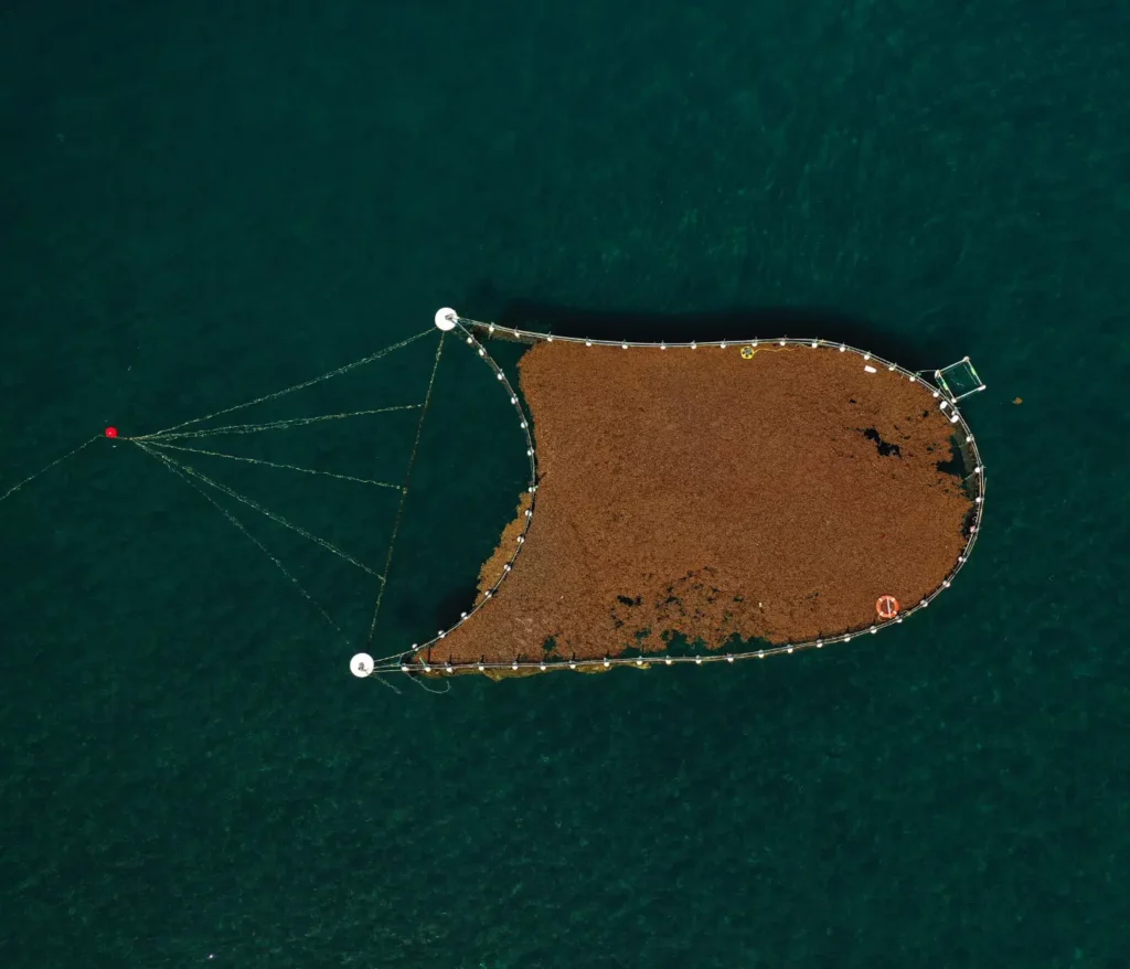 1400 X 1200 Px.seafields Nearshore Algaeponix Paddock Rights Credit Seafields