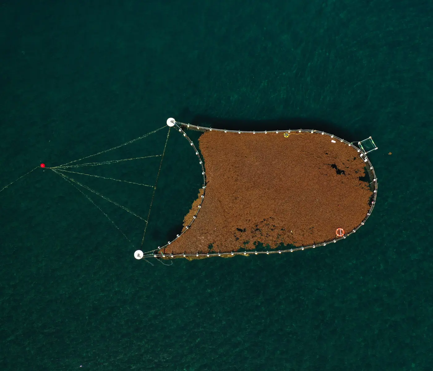1400 X 1200 Px.seafields Nearshore Algaeponix Paddock Rights Credit Seafields 
